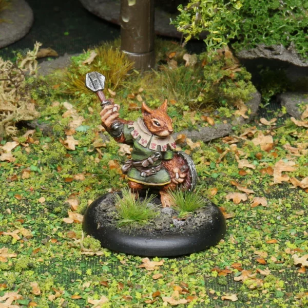 Ecureuils de Noirbois