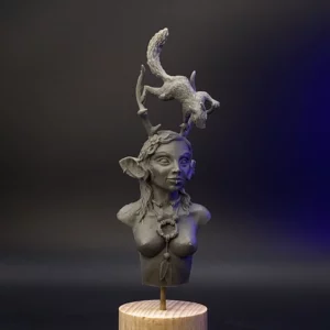 Faune à l'écureuil