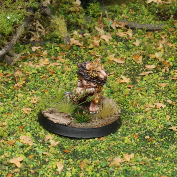 Barbares des Landes Brumeuses